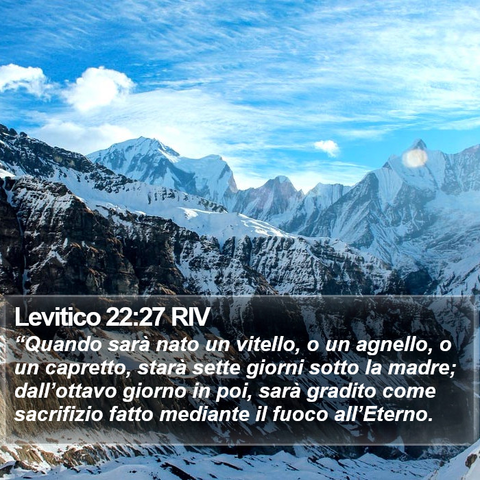 Levitico 22:27 RIV Bible Study