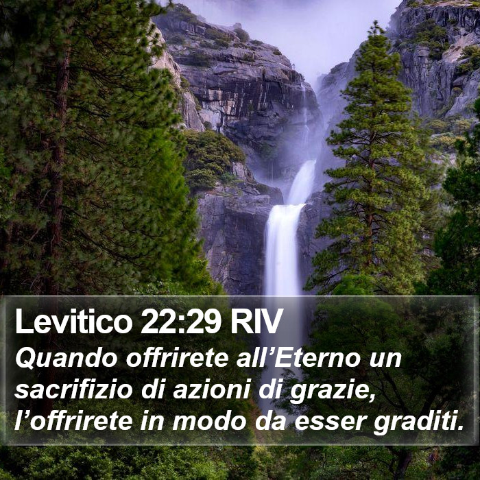 Levitico 22:29 RIV Bible Study