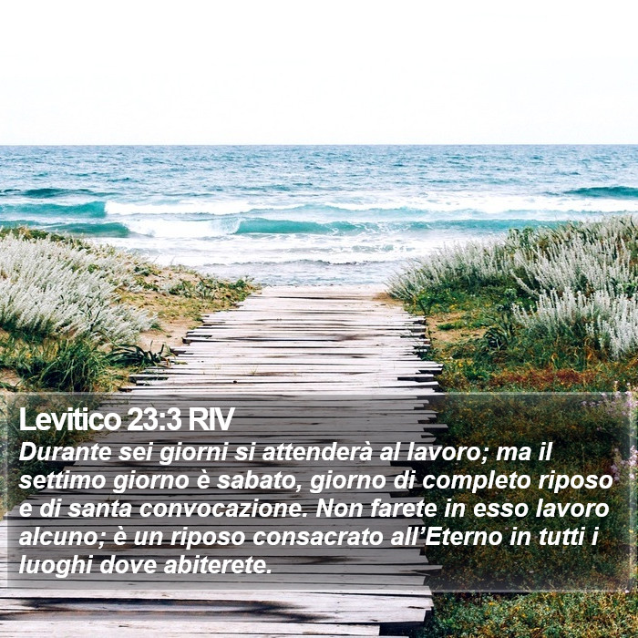 Levitico 23:3 RIV Bible Study