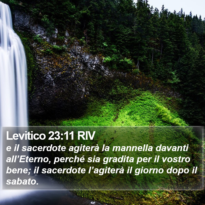 Levitico 23:11 RIV Bible Study