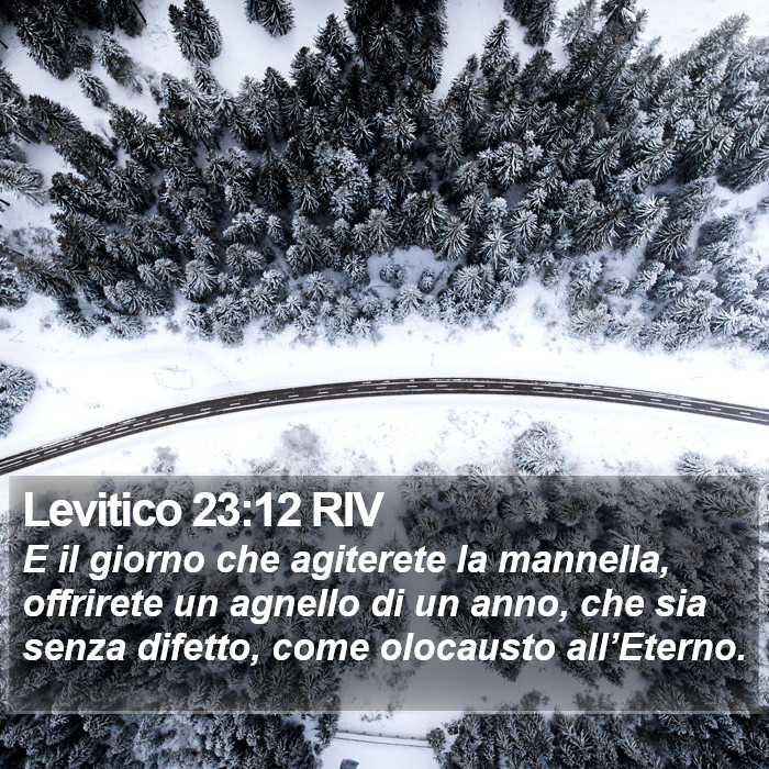 Levitico 23:12 RIV Bible Study