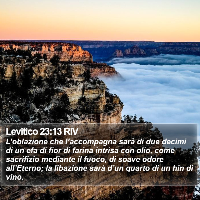 Levitico 23:13 RIV Bible Study