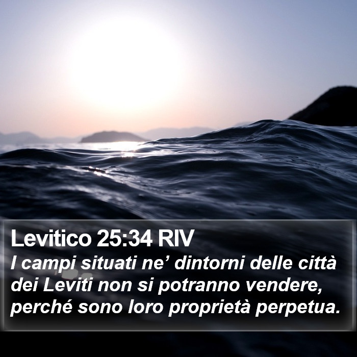 Levitico 25:34 RIV Bible Study