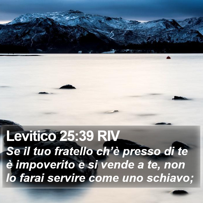 Levitico 25:39 RIV Bible Study