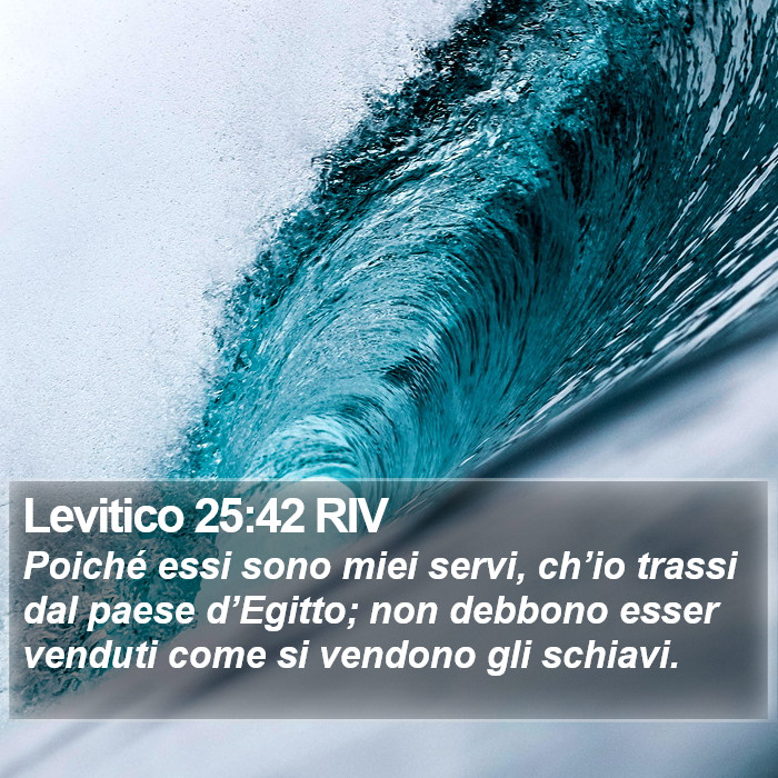 Levitico 25:42 RIV Bible Study
