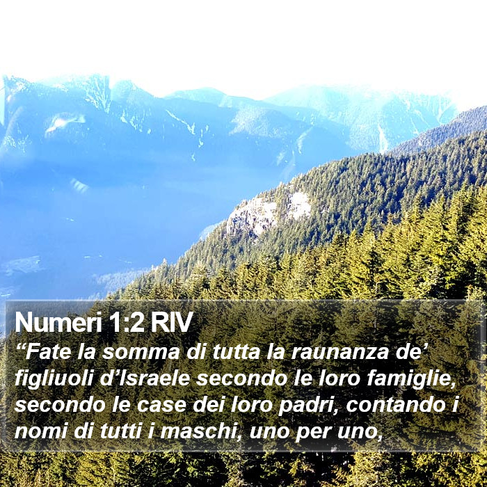 Numeri 1:2 RIV Bible Study