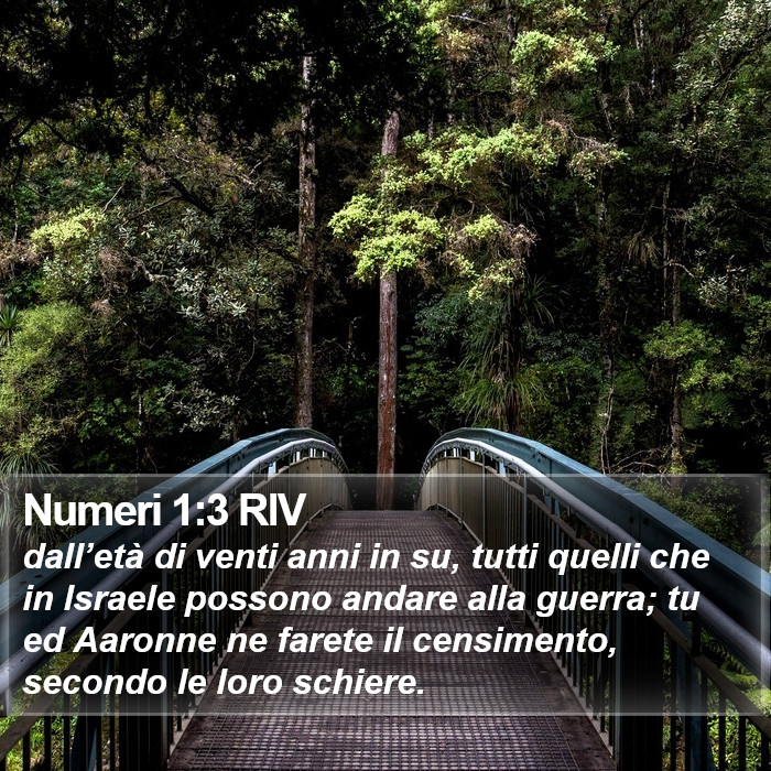 Numeri 1:3 RIV Bible Study