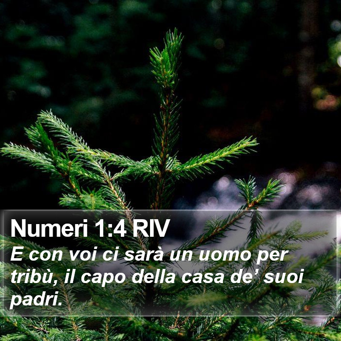 Numeri 1:4 RIV Bible Study