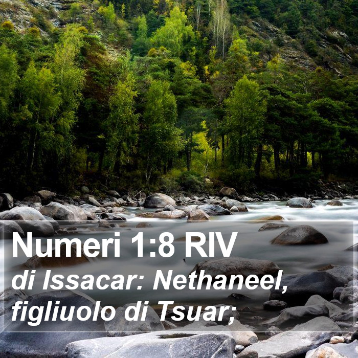 Numeri 1:8 RIV Bible Study