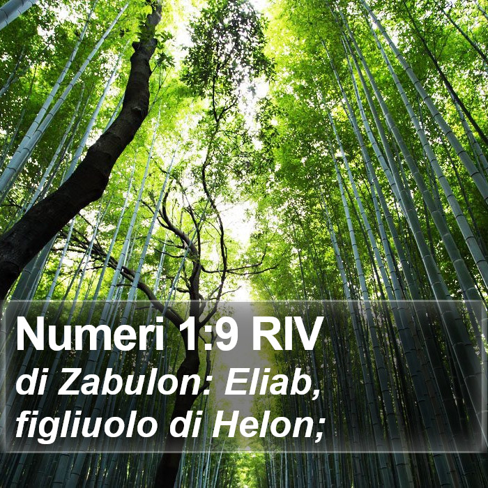 Numeri 1:9 RIV Bible Study