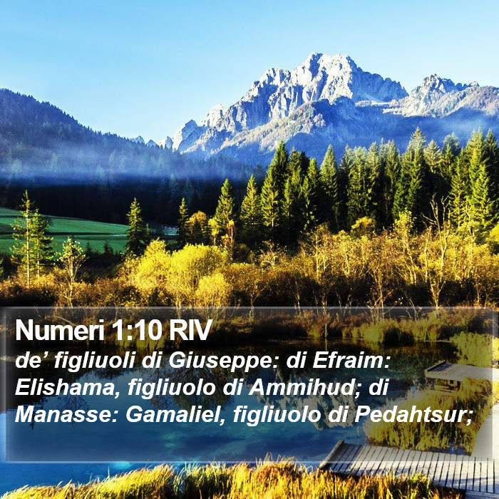 Numeri 1:10 RIV Bible Study