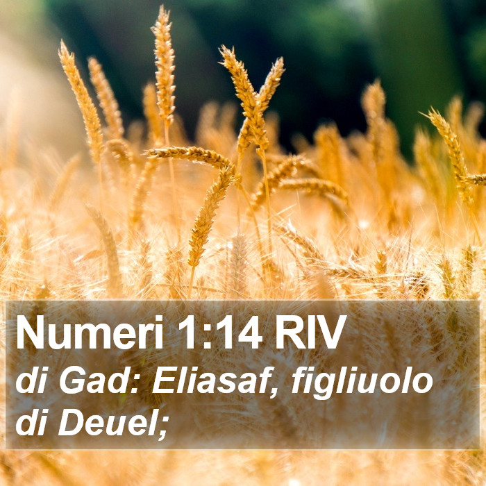 Numeri 1:14 RIV Bible Study