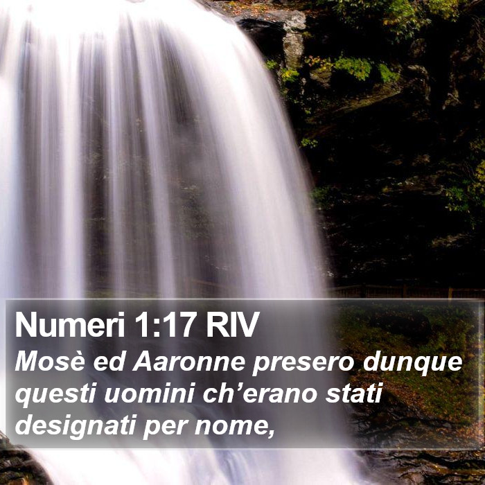 Numeri 1:17 RIV Bible Study