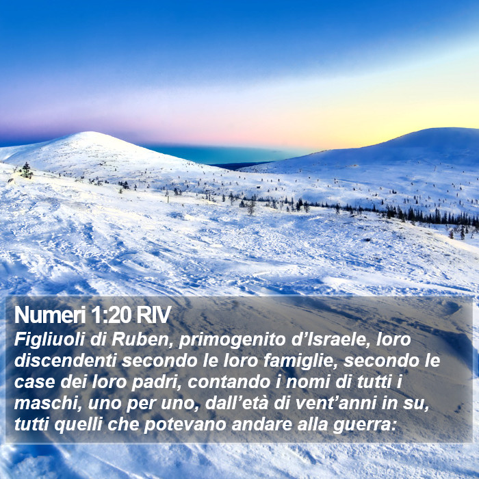 Numeri 1:20 RIV Bible Study