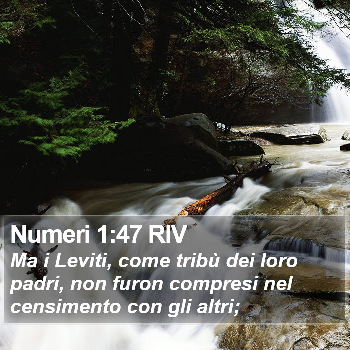 Numeri 1:47 RIV Bible Study