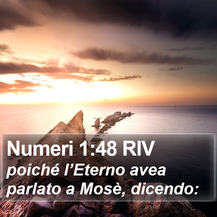 Numeri 1:48 RIV Bible Study