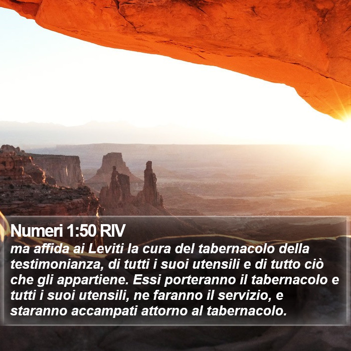 Numeri 1:50 RIV Bible Study