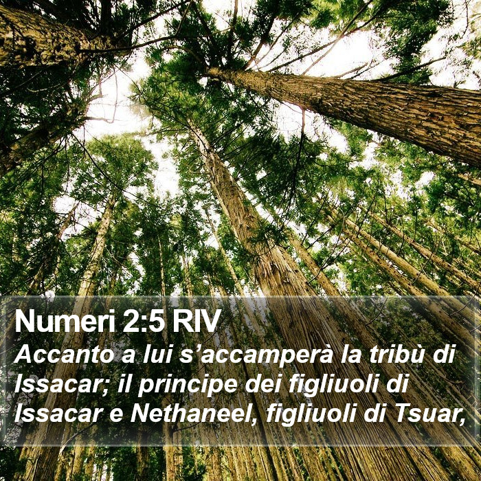 Numeri 2:5 RIV Bible Study