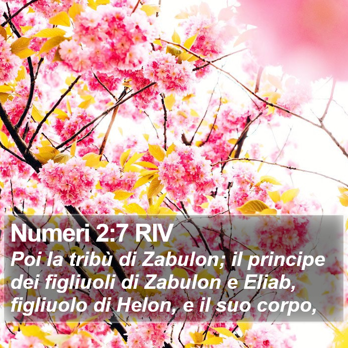 Numeri 2:7 RIV Bible Study