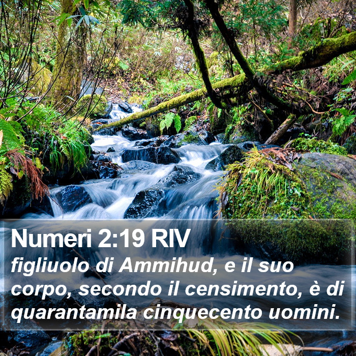 Numeri 2:19 RIV Bible Study