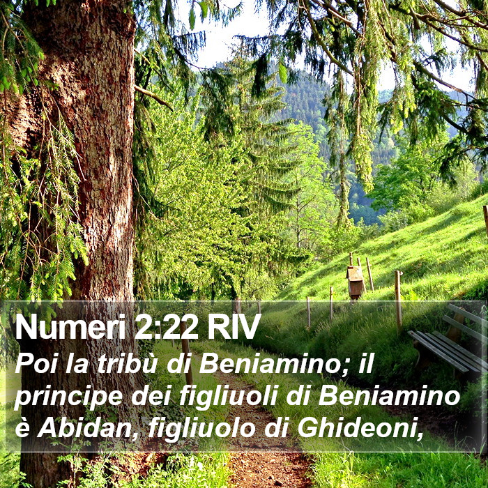 Numeri 2:22 RIV Bible Study