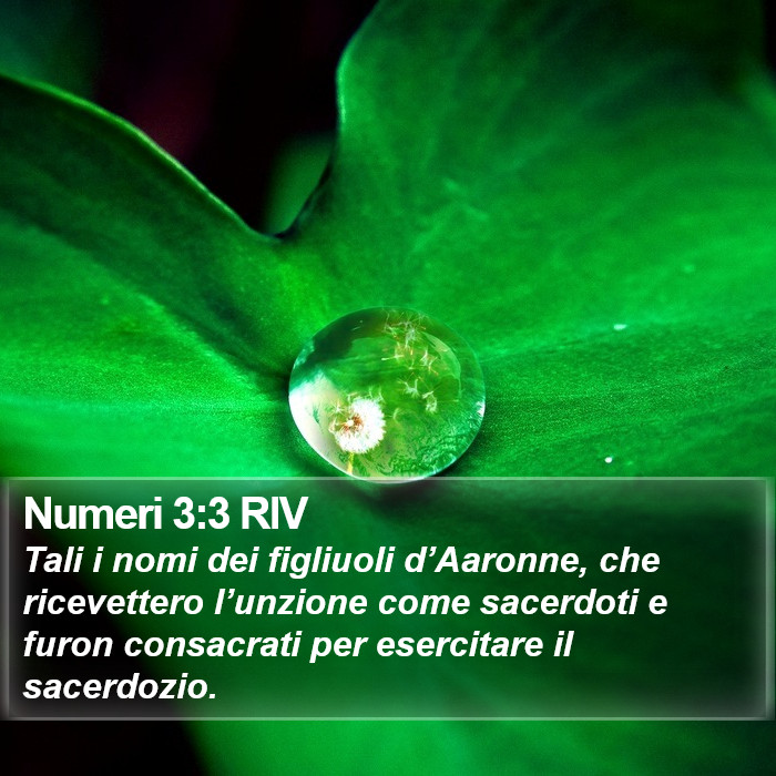 Numeri 3:3 RIV Bible Study