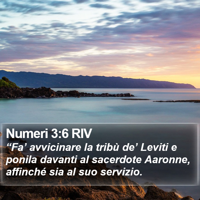 Numeri 3:6 RIV Bible Study