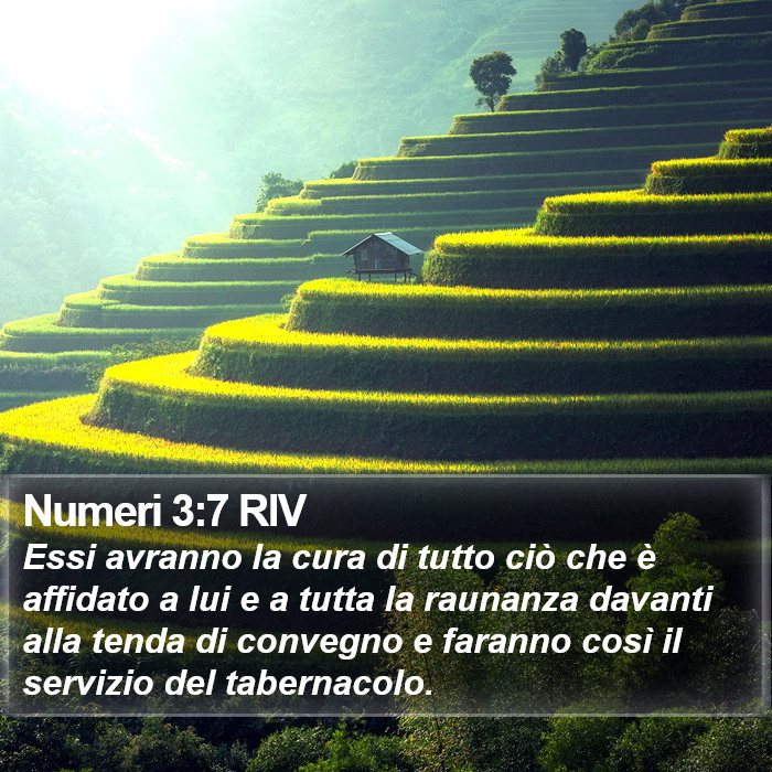 Numeri 3:7 RIV Bible Study