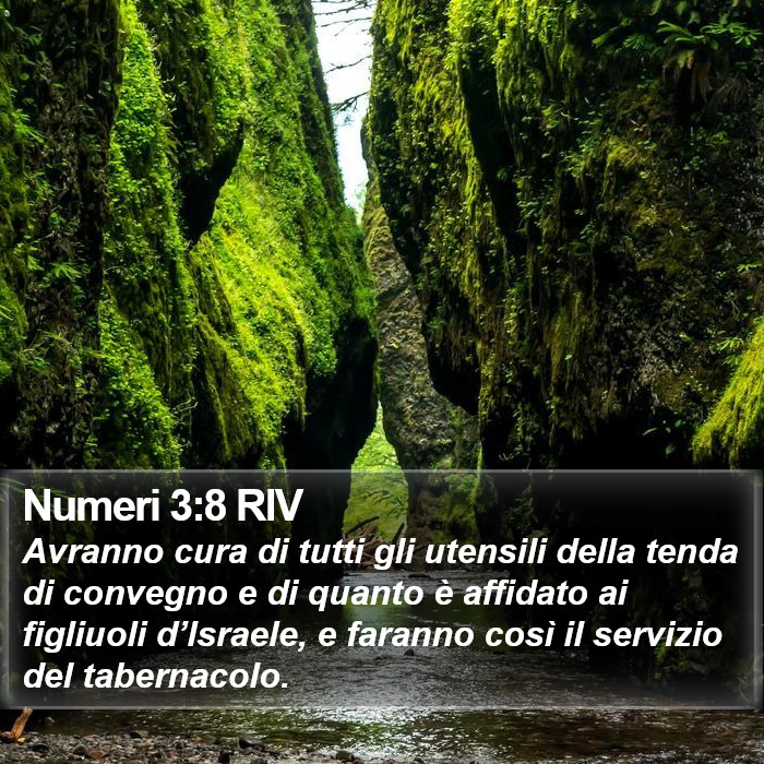 Numeri 3:8 RIV Bible Study