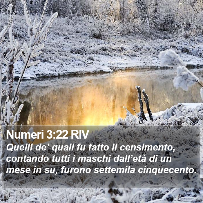 Numeri 3:22 RIV Bible Study