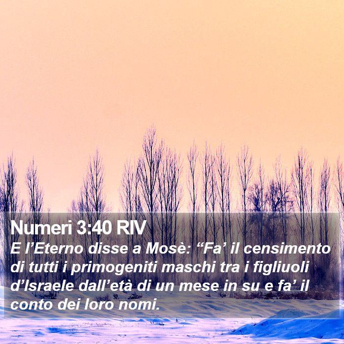 Numeri 3:40 RIV Bible Study