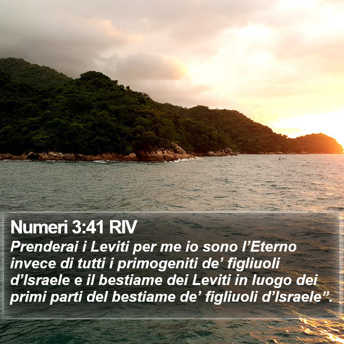 Numeri 3:41 RIV Bible Study
