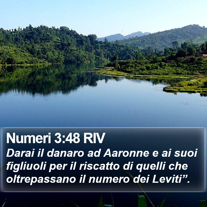 Numeri 3:48 RIV Bible Study