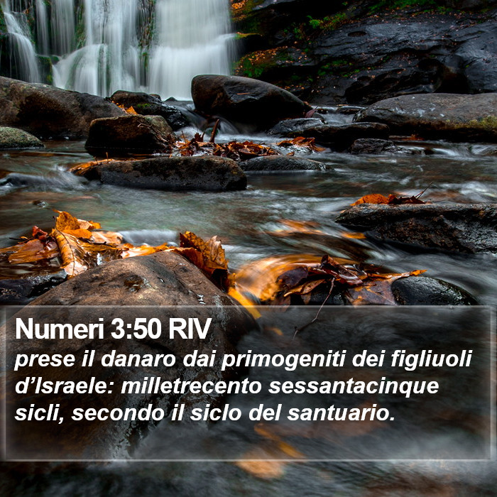 Numeri 3:50 RIV Bible Study