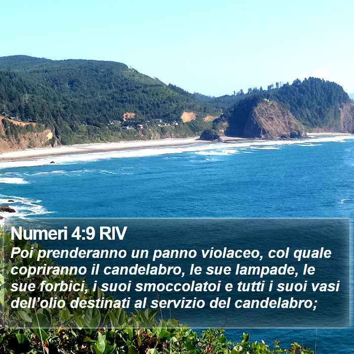 Numeri 4:9 RIV Bible Study