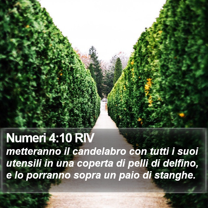 Numeri 4:10 RIV Bible Study