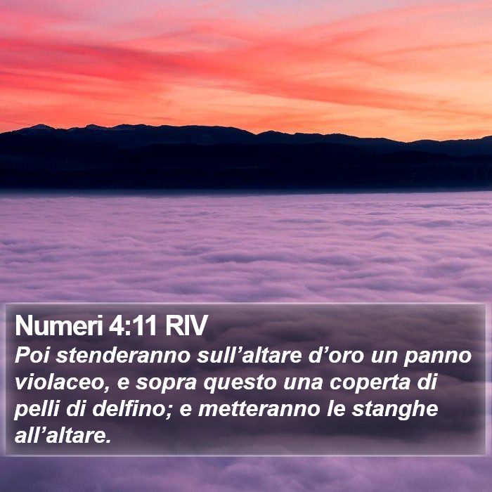Numeri 4:11 RIV Bible Study