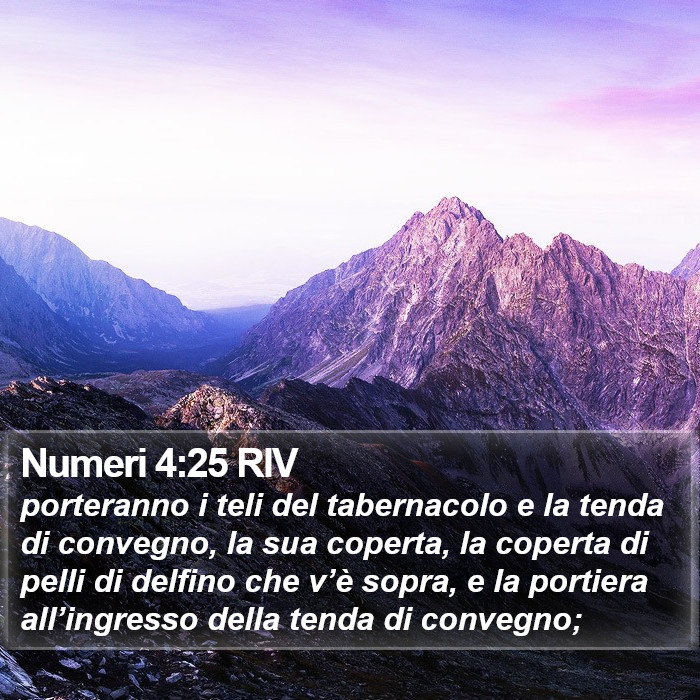 Numeri 4:25 RIV Bible Study