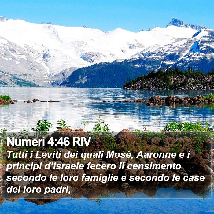 Numeri 4:46 RIV Bible Study