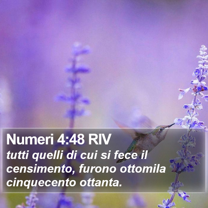 Numeri 4:48 RIV Bible Study
