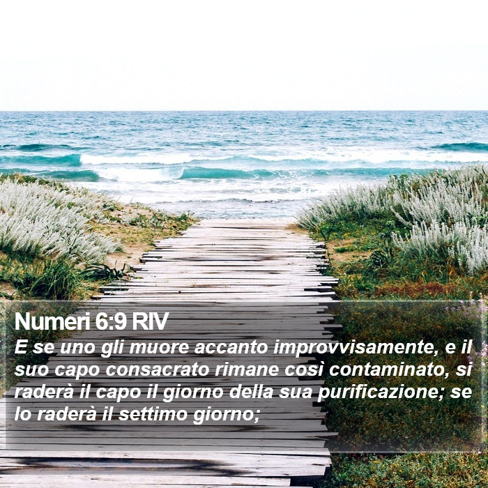 Numeri 6:9 RIV Bible Study