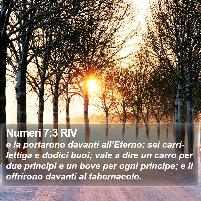 Numeri 7:3 RIV Bible Study