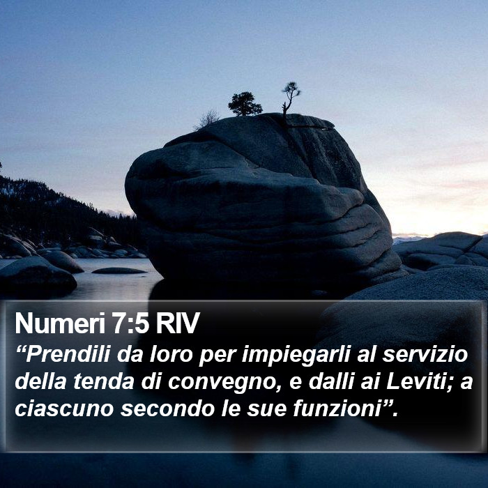 Numeri 7:5 RIV Bible Study