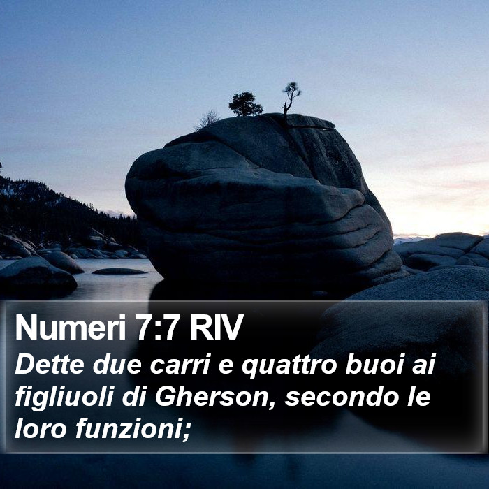 Numeri 7:7 RIV Bible Study