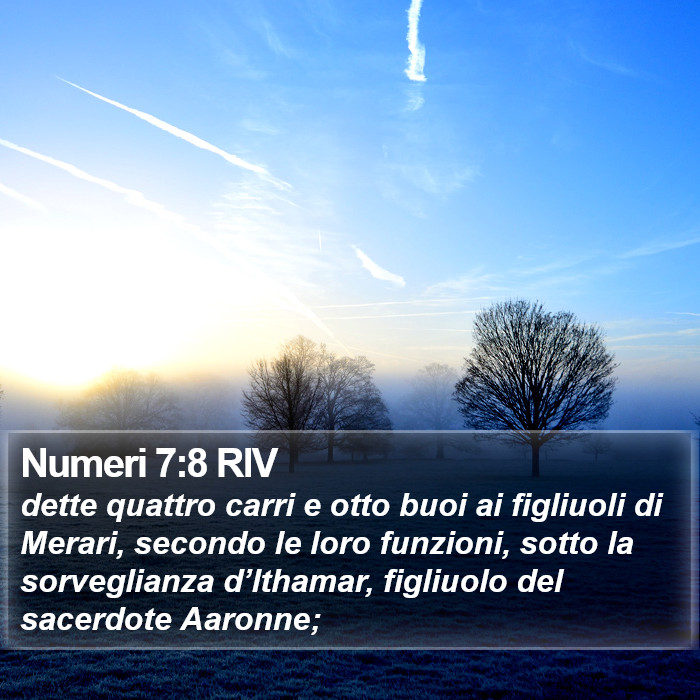 Numeri 7:8 RIV Bible Study