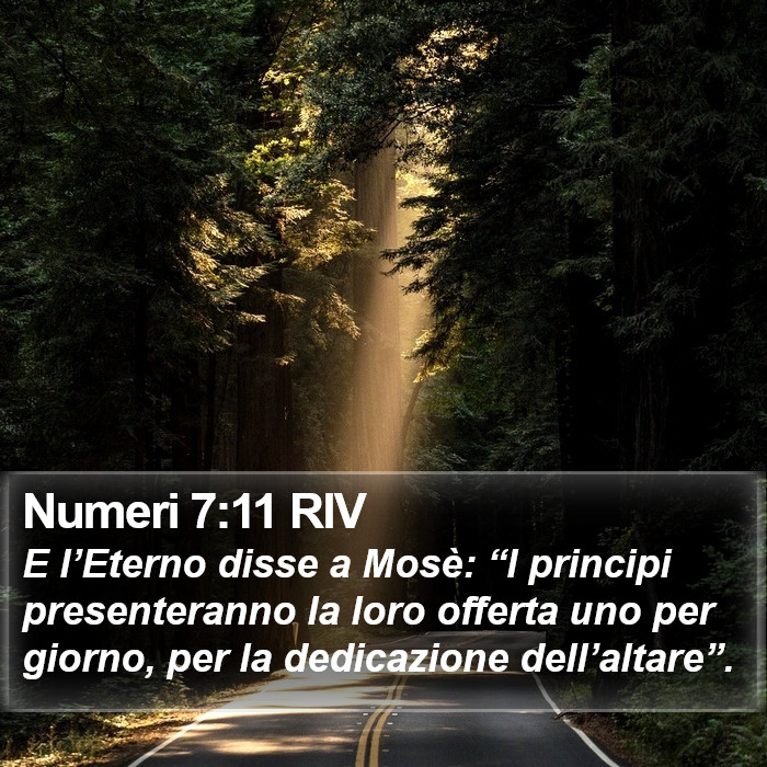 Numeri 7:11 RIV Bible Study