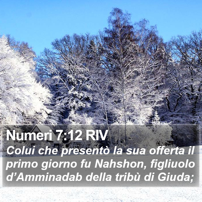 Numeri 7:12 RIV Bible Study