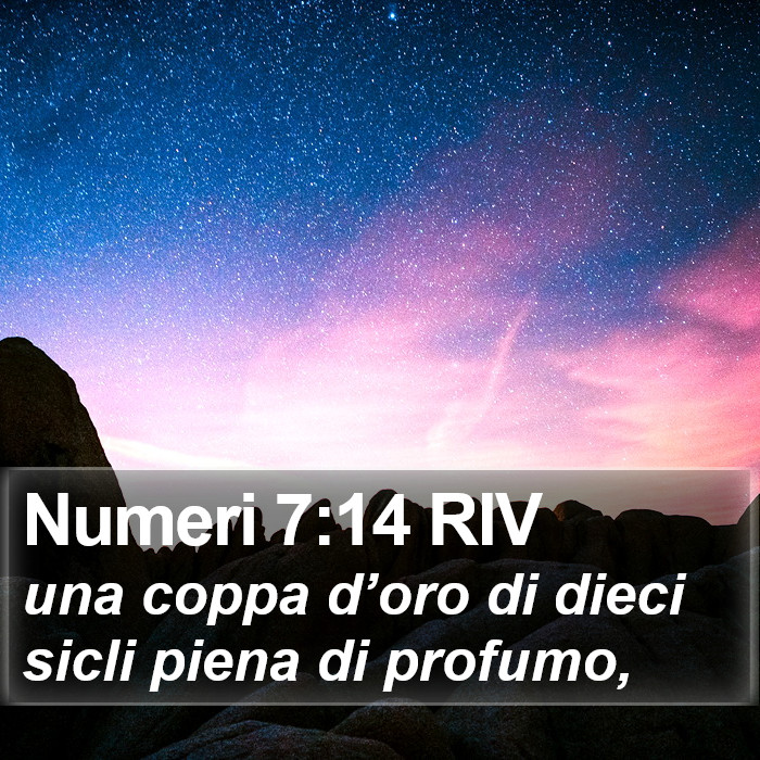 Numeri 7:14 RIV Bible Study