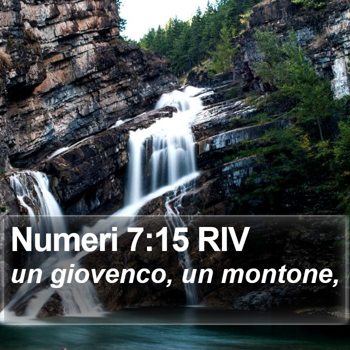 Numeri 7:15 RIV Bible Study