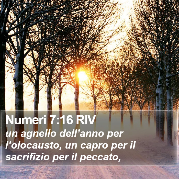 Numeri 7:16 RIV Bible Study